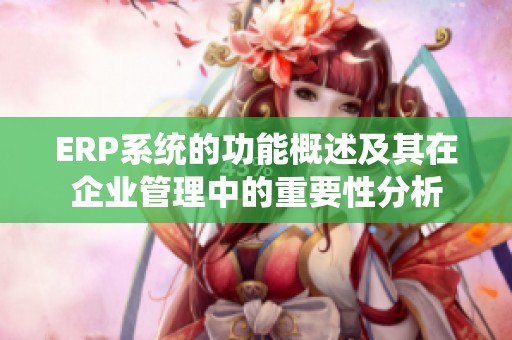 ERP系统的功能概述及其在企业管理中的重要性分析