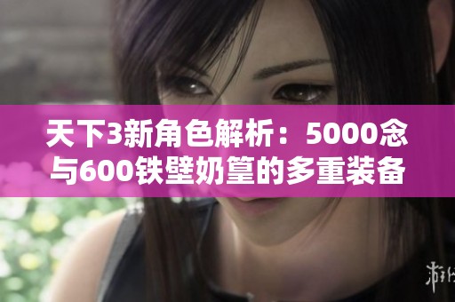 天下3新角色解析：5000念与600铁壁奶篁的多重装备搭配技巧