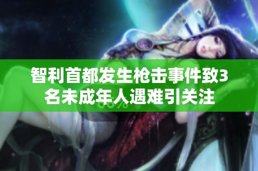 智利首都发生枪击事件致3名未成年人遇难引关注