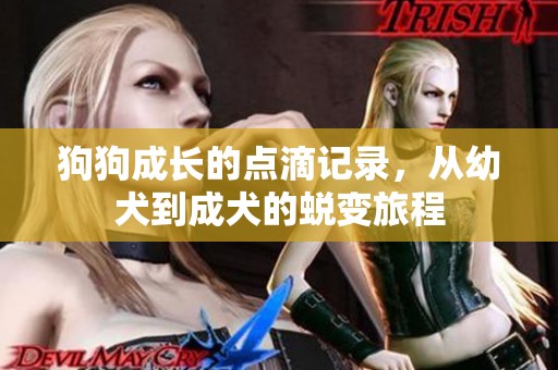 狗狗成长的点滴记录，从幼犬到成犬的蜕变旅程
