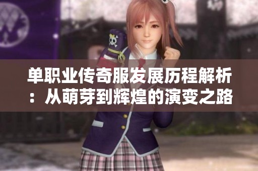 单职业传奇服发展历程解析：从萌芽到辉煌的演变之路