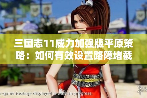 三国志11威力加强版平原策略：如何有效设置路障堵截敌军