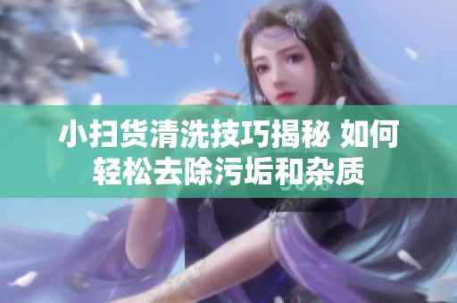 小扫货清洗技巧揭秘 如何轻松去除污垢和杂质