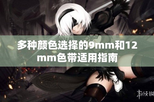 多种颜色选择的9mm和12mm色带适用指南