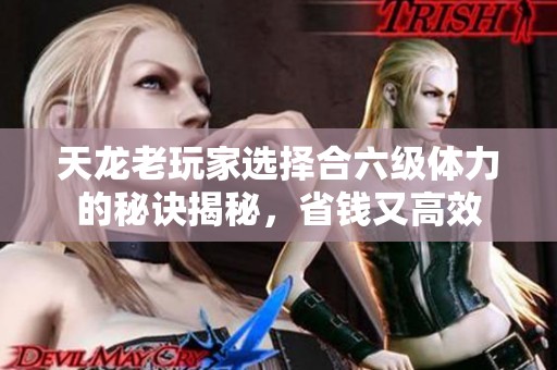 天龙老玩家选择合六级体力的秘诀揭秘，省钱又高效