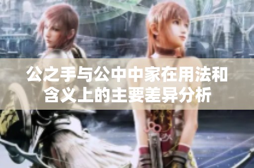 公之手与公中中家在用法和含义上的主要差异分析