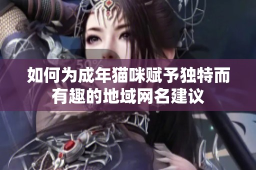 如何为成年猫咪赋予独特而有趣的地域网名建议