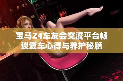 宝马Z4车友会交流平台畅谈爱车心得与养护秘籍