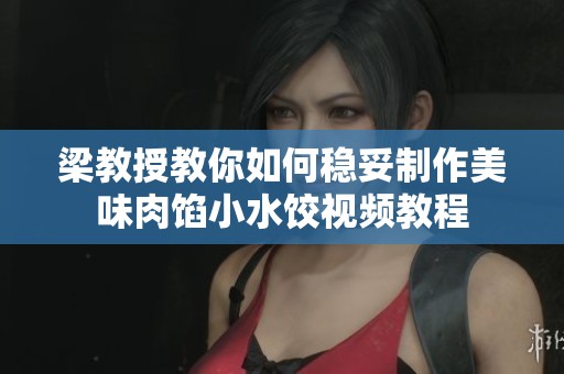 梁教授教你如何稳妥制作美味肉馅小水饺视频教程