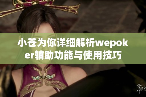 小苍为你详细解析wepoker辅助功能与使用技巧