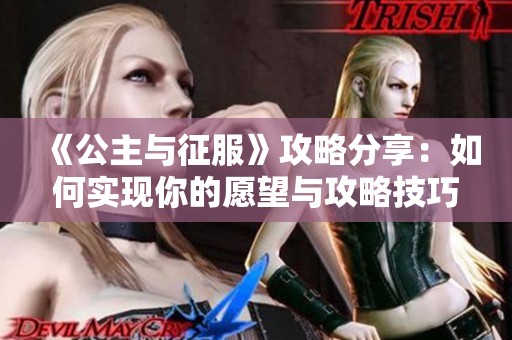 《公主与征服》攻略分享：如何实现你的愿望与攻略技巧