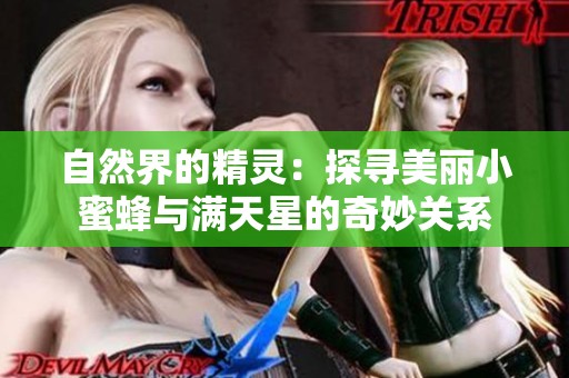 自然界的精灵：探寻美丽小蜜蜂与满天星的奇妙关系