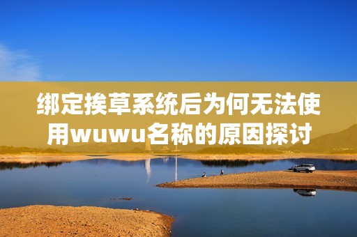 绑定挨草系统后为何无法使用wuwu名称的原因探讨