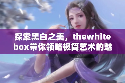 探索黑白之美，thewhitebox带你领略极简艺术的魅力