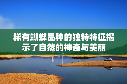 稀有蝴蝶品种的独特特征揭示了自然的神奇与美丽