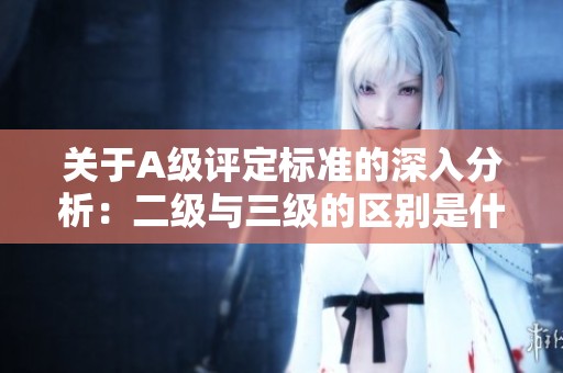 关于A级评定标准的深入分析：二级与三级的区别是什么