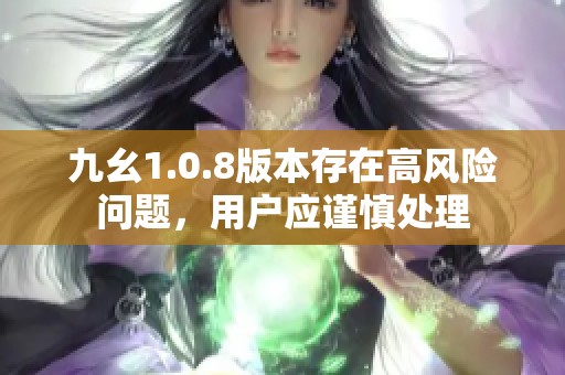 九幺1.0.8版本存在高风险问题，用户应谨慎处理