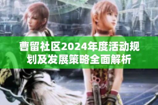 曹留社区2024年度活动规划及发展策略全面解析