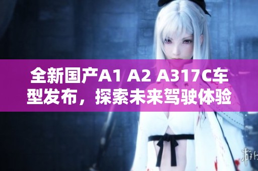 全新国产A1 A2 A317C车型发布，探索未来驾驶体验