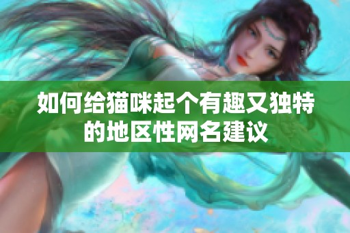 如何给猫咪起个有趣又独特的地区性网名建议