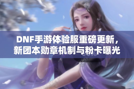 DNF手游体验服重磅更新，新团本勋章机制与粉卡曝光！