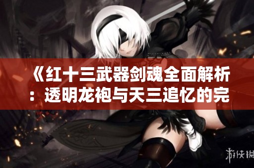《红十三武器剑魂全面解析：透明龙袍与天三追忆的完美结合》