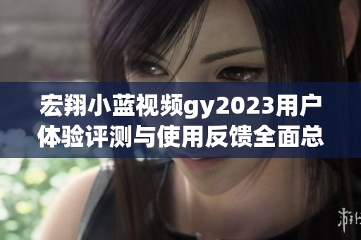 宏翔小蓝视频gy2023用户体验评测与使用反馈全面总结