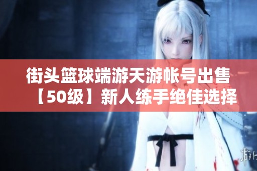 街头篮球端游天游帐号出售【50级】新人练手绝佳选择