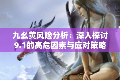 九幺黄风险分析：深入探讨9.1的高危因素与应对策略