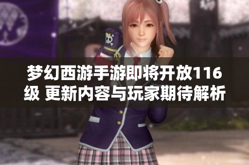 梦幻西游手游即将开放116级 更新内容与玩家期待解析