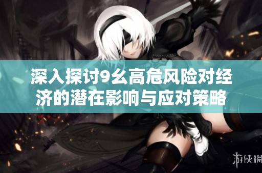 深入探讨9幺高危风险对经济的潜在影响与应对策略