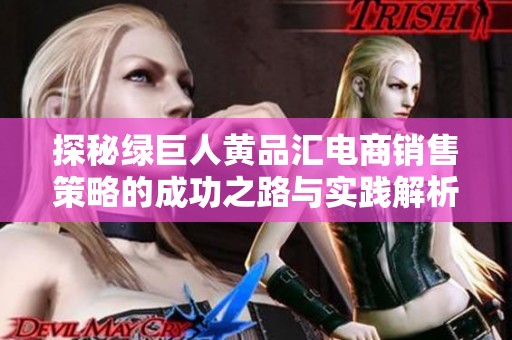 探秘绿巨人黄品汇电商销售策略的成功之路与实践解析