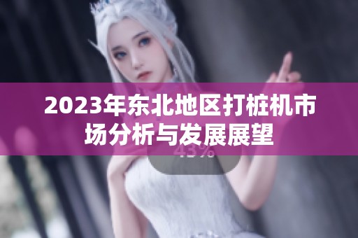 2023年东北地区打桩机市场分析与发展展望