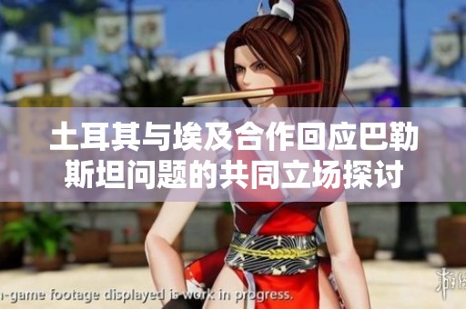 土耳其与埃及合作回应巴勒斯坦问题的共同立场探讨
