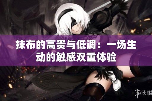 抹布的高贵与低调：一场生动的触感双重体验