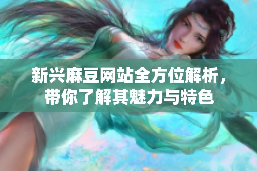 新兴麻豆网站全方位解析，带你了解其魅力与特色