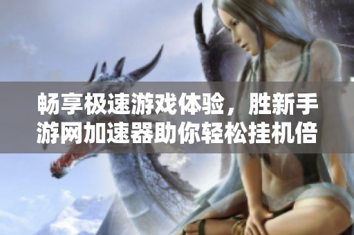 畅享极速游戏体验，胜新手游网加速器助你轻松挂机倍增速度