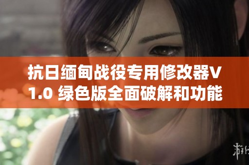 抗日缅甸战役专用修改器V1.0 绿色版全面破解和功能介绍