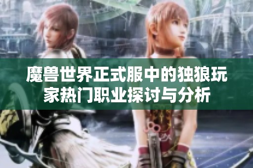 魔兽世界正式服中的独狼玩家热门职业探讨与分析