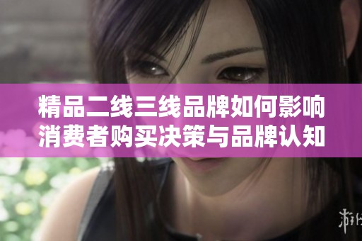 精品二线三线品牌如何影响消费者购买决策与品牌认知