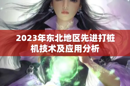 2023年东北地区先进打桩机技术及应用分析