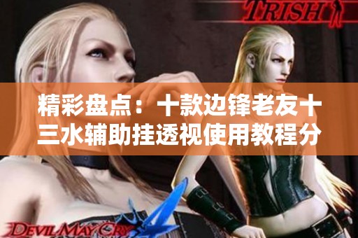精彩盘点：十款边锋老友十三水辅助挂透视使用教程分享