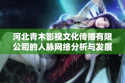 河北青木影视文化传播有限公司的人脉网络分析与发展潜力探讨