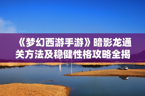 《梦幻西游手游》暗影龙通关方法及稳健性格攻略全揭秘
