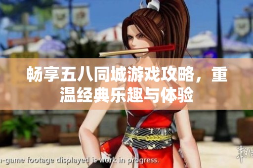畅享五八同城游戏攻略，重温经典乐趣与体验