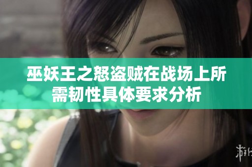 巫妖王之怒盗贼在战场上所需韧性具体要求分析