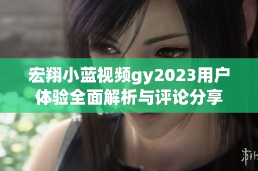 宏翔小蓝视频gy2023用户体验全面解析与评论分享