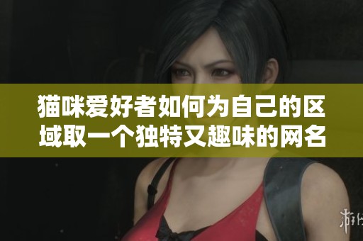 猫咪爱好者如何为自己的区域取一个独特又趣味的网名