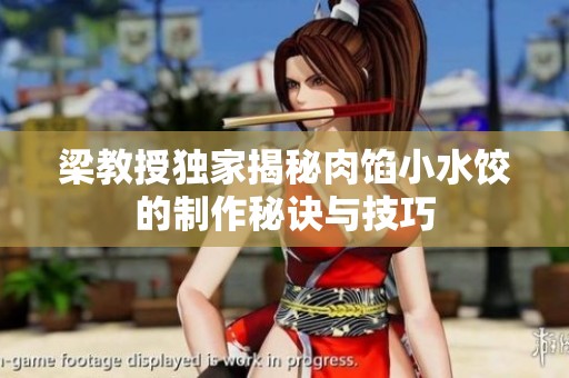 梁教授独家揭秘肉馅小水饺的制作秘诀与技巧