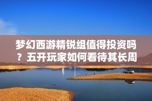 梦幻西游精锐组值得投资吗？五开玩家如何看待其长周期？